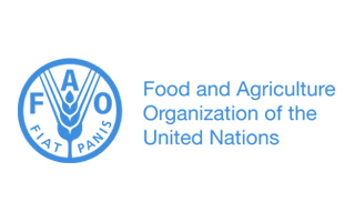 united-nation-logo 